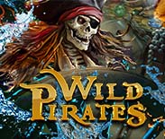 Wild Pirates